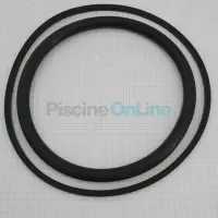 4403010602-joint-d-ampoule-joint-de-bride-pour-projecteur-ps-piscines-liner-beton-1763124024187.png