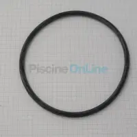 Joint-torique-D110-5x5-6-mm-pour-filtres-DELTA-NORMA-PTK.png