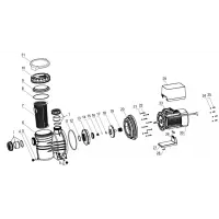 Pièces détachées pour Pompes Astral BERING VS
