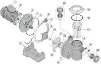 Pièces détachées pour Pompes STA-RITE 5P4R/5P6R (PENTAIR)