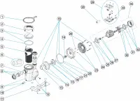Pièces détachées pour Pompes Astral VICTORIA