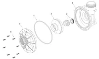 Pièces détachées pour Pompe de spa WATERWAY SPAFLO et IRON MIGHT