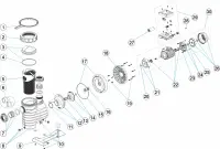 Pièces détachées pour Pompes Astral LFM