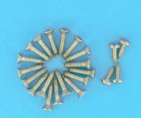 Vis parker 5,5x25 mm de skimmers et skimfiltres (x18)